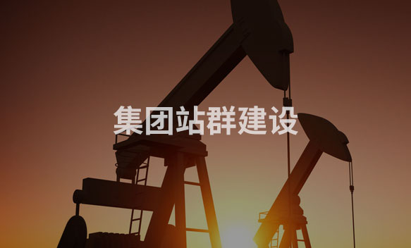 集团站群建设