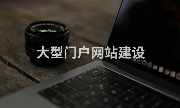 大型门户网站建设