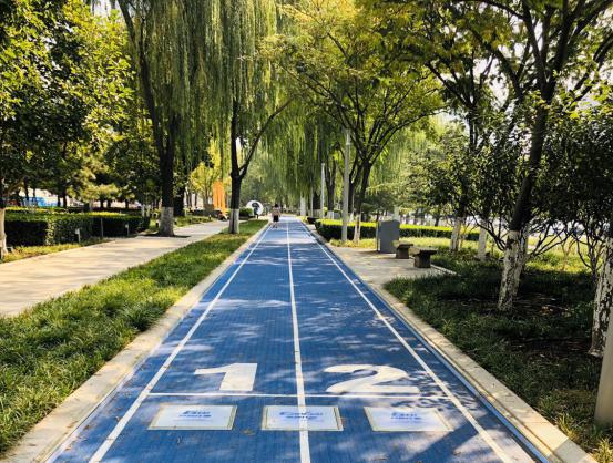 家门口的智能步道——南京花神湖智能体育公园正式开园啦！