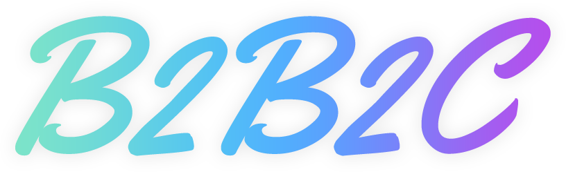b2b网站建设