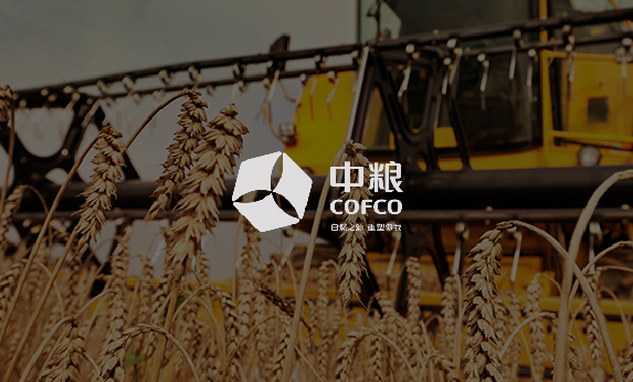 网站建设案例_优秀网站设计案例_网站策划案例-分形科技网站建设方案