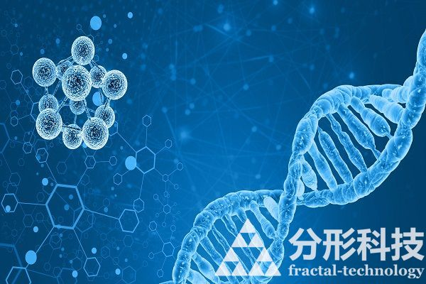 医院网站建设：打造数字化医院新名片